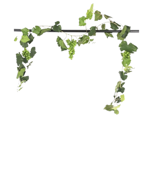 Een zwarte stang toont de Kunst Druiven guirlande brandvertragend 186 cm, met trossen groene druiven en weelderige bladeren, decoratief hangend tegen een effen witte achtergrond.