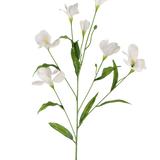 De Kunstrododendron Azalea Real Touch Wit 80cm heeft een enkele groene stengel met meerdere takken, elk met delicate witte bloemen en lange groene bladeren, allemaal op een effen witte achtergrond.
