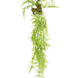 De Kunst hangplant Varen Mix Deluxe 100 cm heeft levensechte groene varenbladeren en blootliggende wortels met grondklonters, die elegant tegen een effen witte achtergrond hangen.