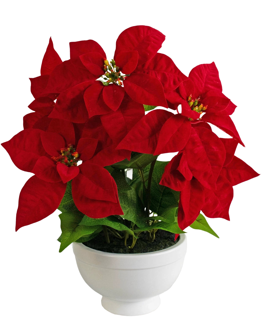 De Kunstplant Kerstster 44 cm rood is een witte pot met een kerststerplant met levendige rode, stervormige bladeren en groen blad tegen een effen witte achtergrond.