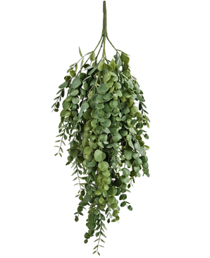De Kunst hangplant Eucalyptus 76 cm heeft dichte, trapsgewijze kunstmatige eucalyptusbladeren met ronde en ovale vormen, perfect om groen toe te voegen aan elke ruimte.