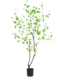 Kunstplant Enkianthus 180 cm