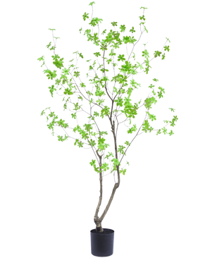 De Kunstplant Enkianthus 180 cm is een hoge, slanke potplant met dunne takken en heldergroene bladeren tegen een effen witte achtergrond.