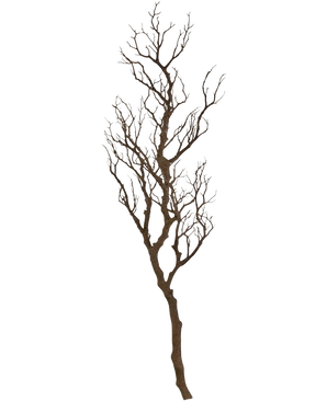 De Kunst decoratie tak 118 cm is een hoge, bladerloze decoratieve tak met meerdere dunne takjes die naar buiten steken, perfect voor display tegen een witte achtergrond.