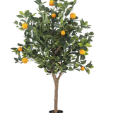 De Kunst sinaasappelboom 120 cm heeft dichte groene bladeren en levendige oranje vruchten tegen een effen witte achtergrond.