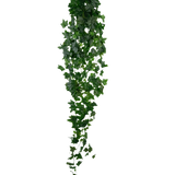 De Kunst Klimop 180 cm groen is een enkele kunstmatige groene klimop met dichte, puntige bladeren die verticaal hangt tegen een effen witte achtergrond.