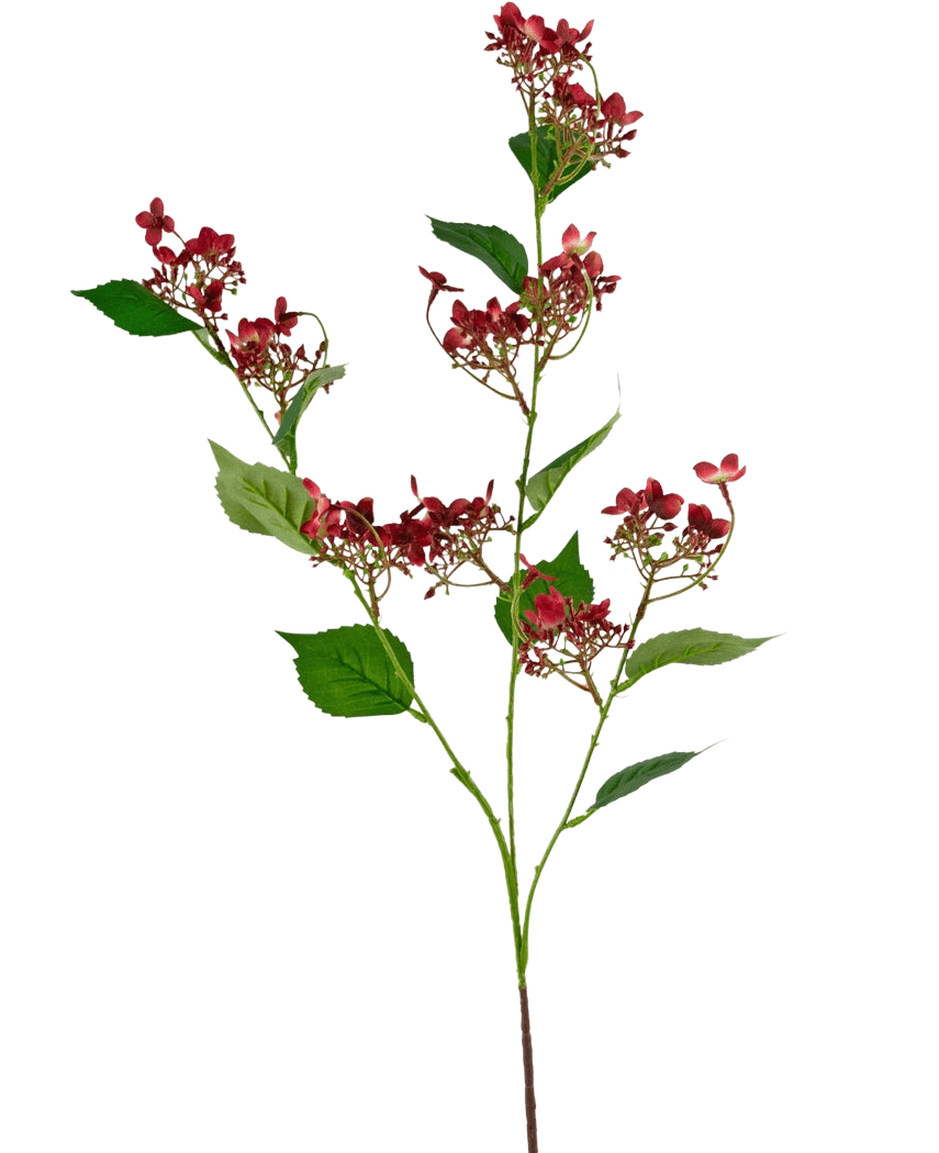 De Kunstbloem Wilde hortensia 86 cm rood heeft een hoge steel met trossen kleine, donkerrode bloemen en meerdere groene bladeren, afgebeeld tegen een witte achtergrond.