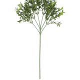 Een enkele Kunsttak Buxus 47 cm UV brandvertragend met meerdere takken van kleine, ovale bladeren wordt getoond tegen een effen witte achtergrond.