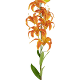 De Kunstbloem Martagon Lelie 78 cm oranje heeft een enkele steel met meerdere levendige oranje leliebloemen en groene bladeren, tegen een effen witte achtergrond.