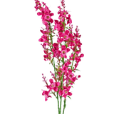 De Kunstbloem Kattenkruid 75 cm roze heeft een stengel van levendige roze kunstbloesems met groene bladeren, geïsoleerd op een witte achtergrond.