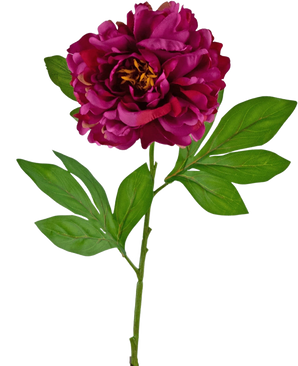 De Kunstbloem Pioen 77 cm paars heeft een enkele donkerpaarse pioenroos bloem met gelaagde bloemblaadjes en een geel hart, bevestigd aan een groene steel met meerdere langwerpige groene bladeren, tegen een witte achtergrond.