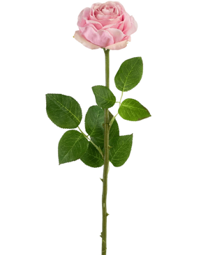 Een Kunstroos Real Touch 56 cm lichtroze, een enkele lichtroze kunstroos met meerdere groene bladeren aan het staal, weergegeven tegen een effen witte achtergrond.