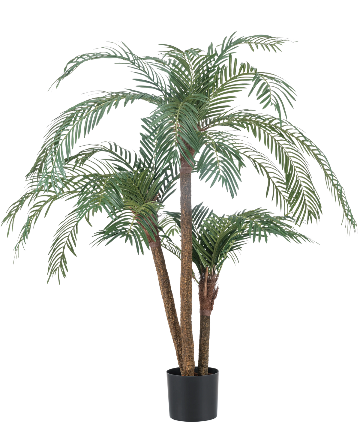 De Kunstpalm Cycas Classic 135 cm heeft meerdere slanke stammen en lange, overhangende groene bladeren, in een eenvoudige zwarte pot tegen een effen witte achtergrond.