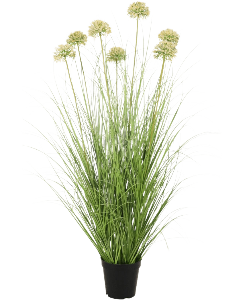 De Kunst Grasplant Ui 90 cm brandvertragend heeft lange, slanke groene bladeren en hoge stelen met ronde, lichtgroene trossen. Deze vlamvertragende kunstplant voegt blijvend groen toe aan elke ruimte.