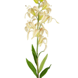Een enkele hoge Kunstbloem Martagon Lelie 78 cm roze met roze leliebloemen en groene bladeren tegen een effen witte achtergrond; sommige bloemen zijn open terwijl twee knoppen aan de bovenkant gesloten blijven.
