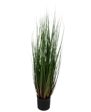 De Kunst Grasplant Onion 90 cm brandvertragend is een siergras in pot met lange, dunne groene bladeren die roodpaars getint zijn aan de basis, tegen een effen witte achtergrond.