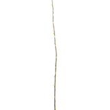 De Kunstbloem Salix wilg 150 cm is een enkele slanke tak met kleine knoppen over de lengte, tegen een effen witte achtergrond.