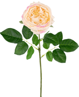 De Kunsttuinroos "Anniken" Real Touch perzik 72cm heeft een enkele bleke perzikkleurige roos met delicate, geplooide bloemblaadjes en lichtroze randen op een lange groene stengel met trosjes groene bladeren, geïsoleerd op een witte achtergrond.