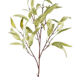 De Kunsttak Eucalyptus Niphophila 108 cm groen heeft een enkele bruine stam met meerdere dunne takken, elk versierd met langwerpige, lichtgroene bladeren, tegen een effen witte achtergrond.