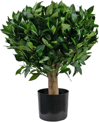 Kunstplant Laurier UV d65 cm