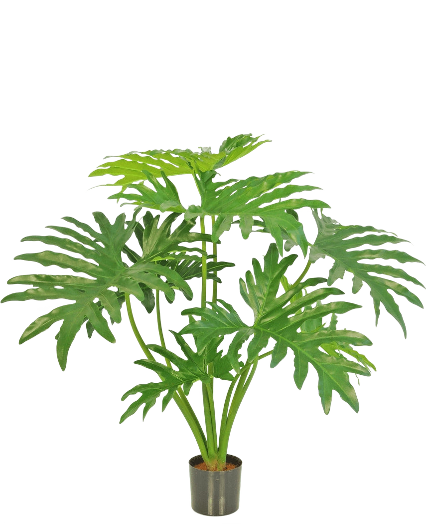De Kunstplant Philodendron 80 cm is een kunstplant met grote, verdeelde groene bladeren in een kleine zwarte pot, afgebeeld tegen een effen witte achtergrond.