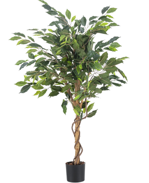 De Kunstplant Ficus Groen 120 cm heeft groene bladeren en gedraaide stelen in een kleine zwarte pot, tegen een witte achtergrond.