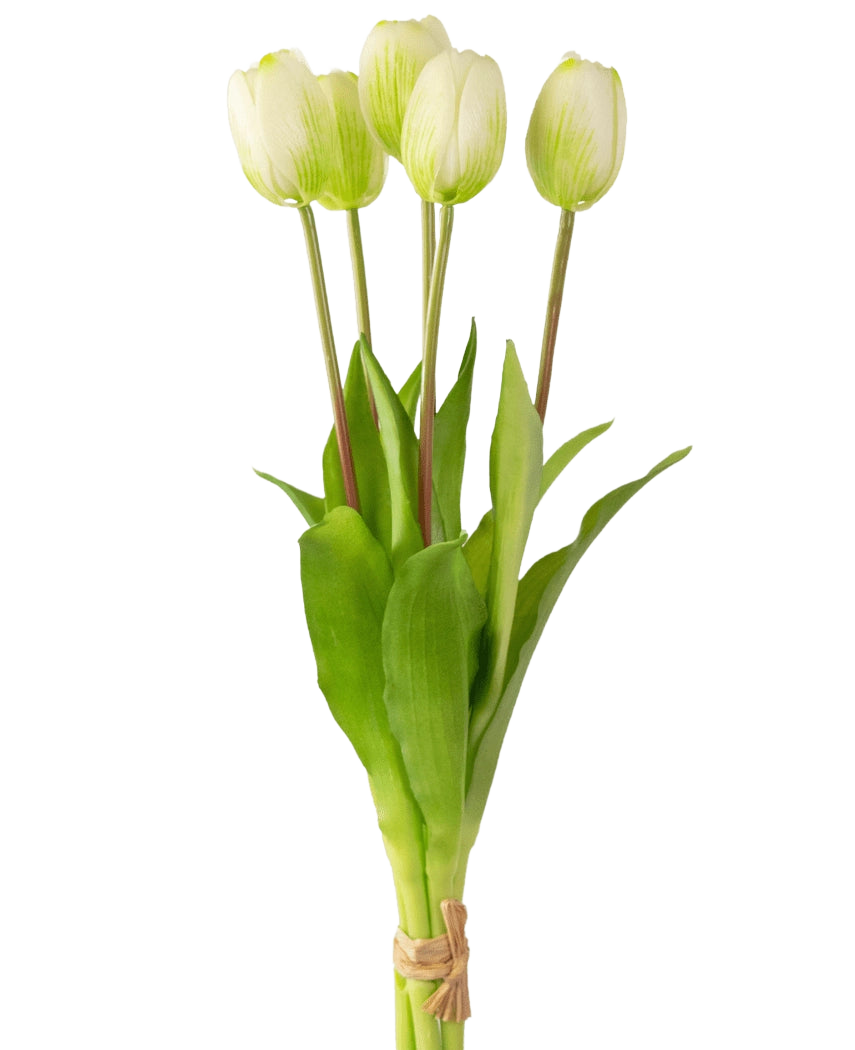 Het Kunsttulpenboeket Real Touch Groen/wit 40cm heeft vijf levensechte witte tulpen met groene stengels en bladeren, samengebonden met touw, tegen een eenvoudige witte achtergrond.