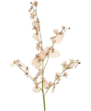 De Kunsttak Orchidee 80 cm roze heeft meerdere takken van lichtroze en witte orchideeachtige bloemen met kleine groene knoppen, tegen een effen witte achtergrond.