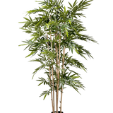De Kunstplant Bamboe 180 cm heeft slanke lichtbruine stengels en overvloedige lange groene bladeren in een kleine zwarte pot, tegen een effen witte achtergrond.