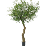 De Kunst Olijfboom 270 cm zonder olijven staat in elegante sierpotten, met een gedraaide stam en dicht groen gebladerte, tegen een effen witte achtergrond.