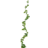 De Kunst slingerplant Monstera 182 cm is een lange kunstliaan met groene, natuurlijk gevormde bladeren, die verticaal hangt tegen een effen lichte achtergrond.