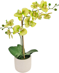 Kunst Orchidee Real Touch 60 cm groen