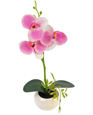 De Kunst Orchidee 28 cm wit/roze in pot heeft een groene orchideeënstengel met levendige roze en witte bloemen en groene bladeren, allemaal gerangschikt in een witte pot van keramiek.
