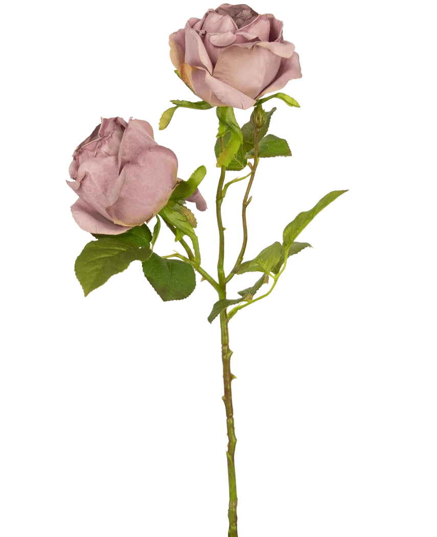 Een enkele Kunstroos Deluxe 55 cm paars steel met twee stoffig mauve rozen en groene bladeren, tegen een effen witte achtergrond.