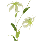 De Kunstbloem Gloriosa 81 cm wit heeft een groene steel met lange, slanke bladeren en twee lichtgroene, spinachtige bloemen met smalle, gekrulde bloemblaadjes, gele meeldraden en een gesloten knop aan de top voor een levensechte aantrekkingskracht.