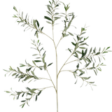 De Kunst Olijftak 109 cm heeft meerdere slanke stengels met kleine, langwerpige groene bladeren tegen een effen witte achtergrond.