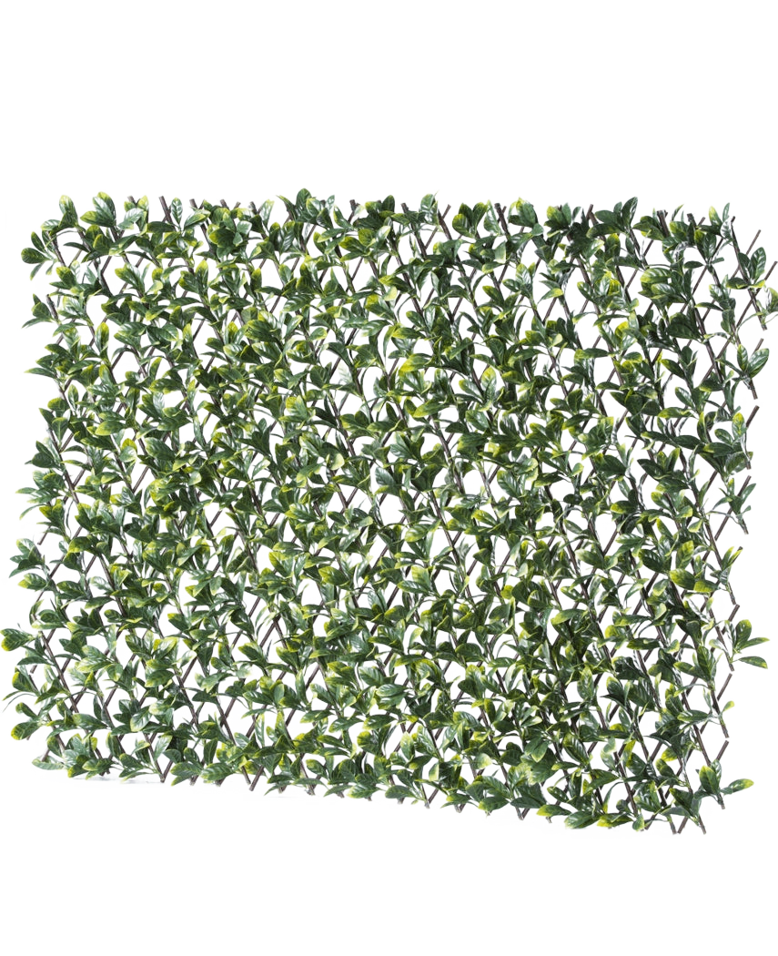 De Kunsthaag Prunus Uitschuifbaar 200x100 cm is een rechthoekig paneel van kunstgroene bladeren op een kunststof rooster, dat zorgt voor een weelderige, dichte uitstraling van je ruimte.