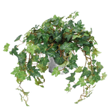 De Kunst Klimop Deluxe groen in pot 40 cm UV heeft weelderige, groene, hartvormige bladeren en lange, slingerende ranken die over de zijkanten van de pot groeien. Afgebeeld tegen een effen witte achtergrond.