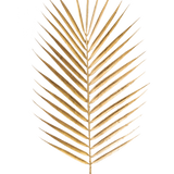 Het Kunsttak Varen 64 cm goud heeft een enkel gouden palmblad met lange, slanke bladeren op een effen witte achtergrond.