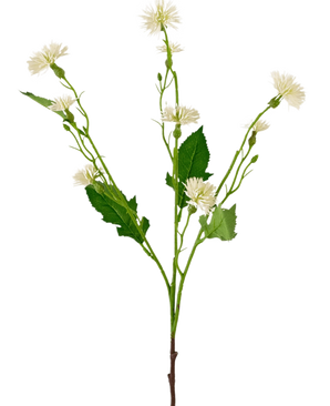 De Kunstbloem Daisy Spray 54 cm witstraal heeft een enkele groene steel met verschillende takken, elk versierd met pluizige witte margrietachtige bloemen en groen gekartelde bladeren, afgebeeld tegen een witte achtergrond.