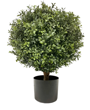 De Kunst Buxus op stam UV 40 cm is een ronde, bossige groene vorm met dichte bladeren in een eenvoudige zwarte pot, tegen een effen witte achtergrond.
