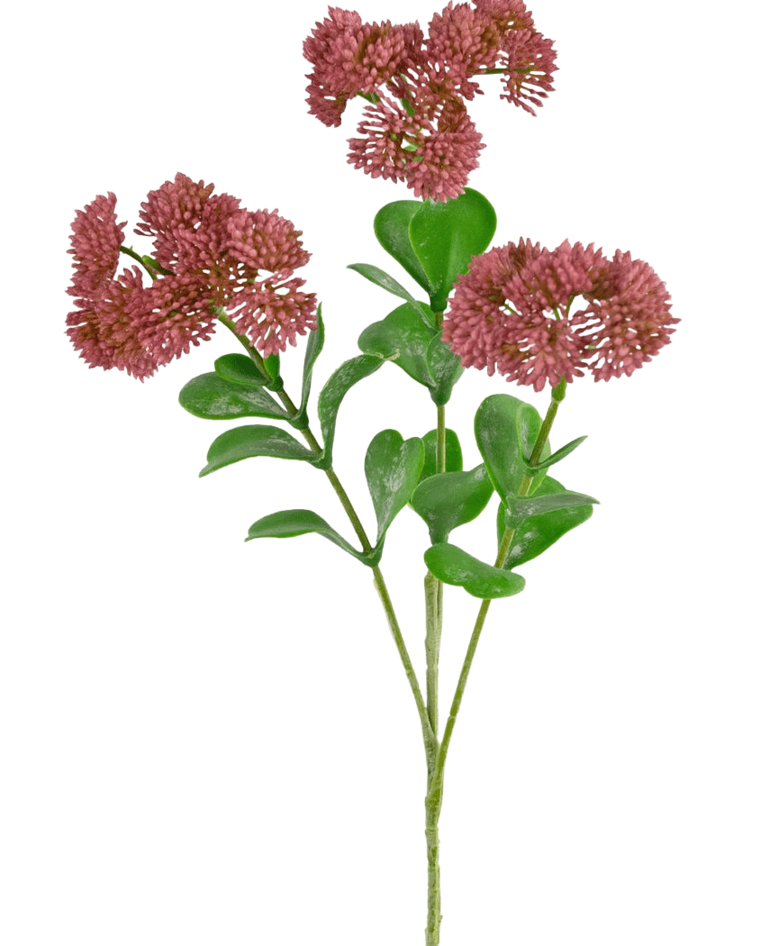 Een Kunsttak Sedum 56 cm roze met groen blad en trosjes kleine, ronde, piekerige rozerode bloemen tegen een witte achtergrond.
