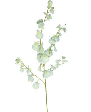 Een enkele steel van Kunsttak Orchidee 80 cm turquoise met delicate orchidee bloemen en dunne groene takken, geïsoleerd op een witte achtergrond.