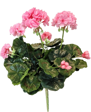 De Kunst Geranium 40 cm roze heeft een tros roze geraniumbloemen, verschillende groene ronde bladeren en meerdere stelen, mooi geïsoleerd op een witte achtergrond.