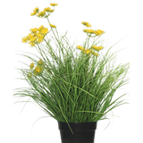 De Kunst Grasplant Asteraceae 50 cm brandvertragend heeft lange, dunne groene bladeren en kleine gele bloemen in een zwarte pot, die een groene uitstraling-perfect kunstgras in huis biedt tegen een effen witte achtergrond.