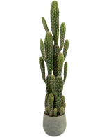 De Kunst Cactus 100 cm heeft hoge, groene, rechtopstaande armen met ribbels, in een ronde grijze pot tegen een effen witte achtergrond.