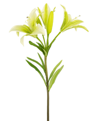 Kunstbloem Aziatische Lelie 66 cm wit