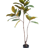 De Kunstplant Yulaniaboom 120 cm heeft slanke bruine stengels en brede groengele bladeren, die er realistisch uitzien en elke ruimte verfraaien tegen een effen witte achtergrond.