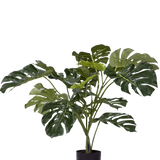 De Kunstplant Monstera 85 cm is een kunstplant met grote, glanzend groene bladeren met kenmerkende splitten en gaten, weergegeven in een eenvoudige zwarte pot tegen een witte achtergrond.