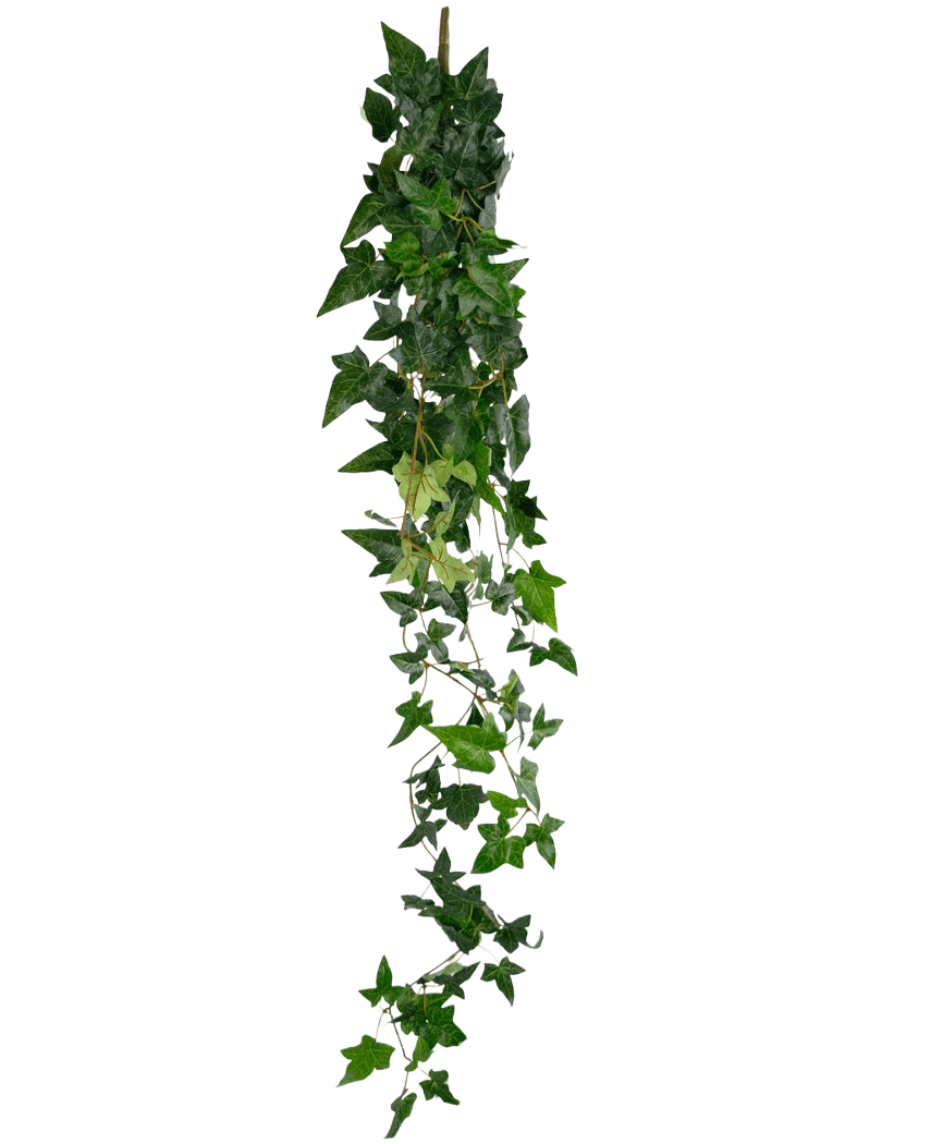 De Kunst hangplant Klimop Boston 120 cm groen heeft een lange streng van kunstmatige groene klimop met dichte, puntige bladeren die naar beneden vallen tegen een effen witte achtergrond.